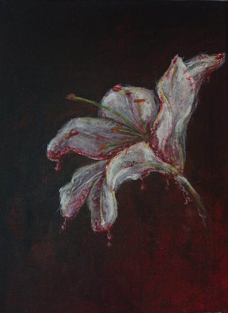 IMG 20241205 165259 Nikola Janakova 1