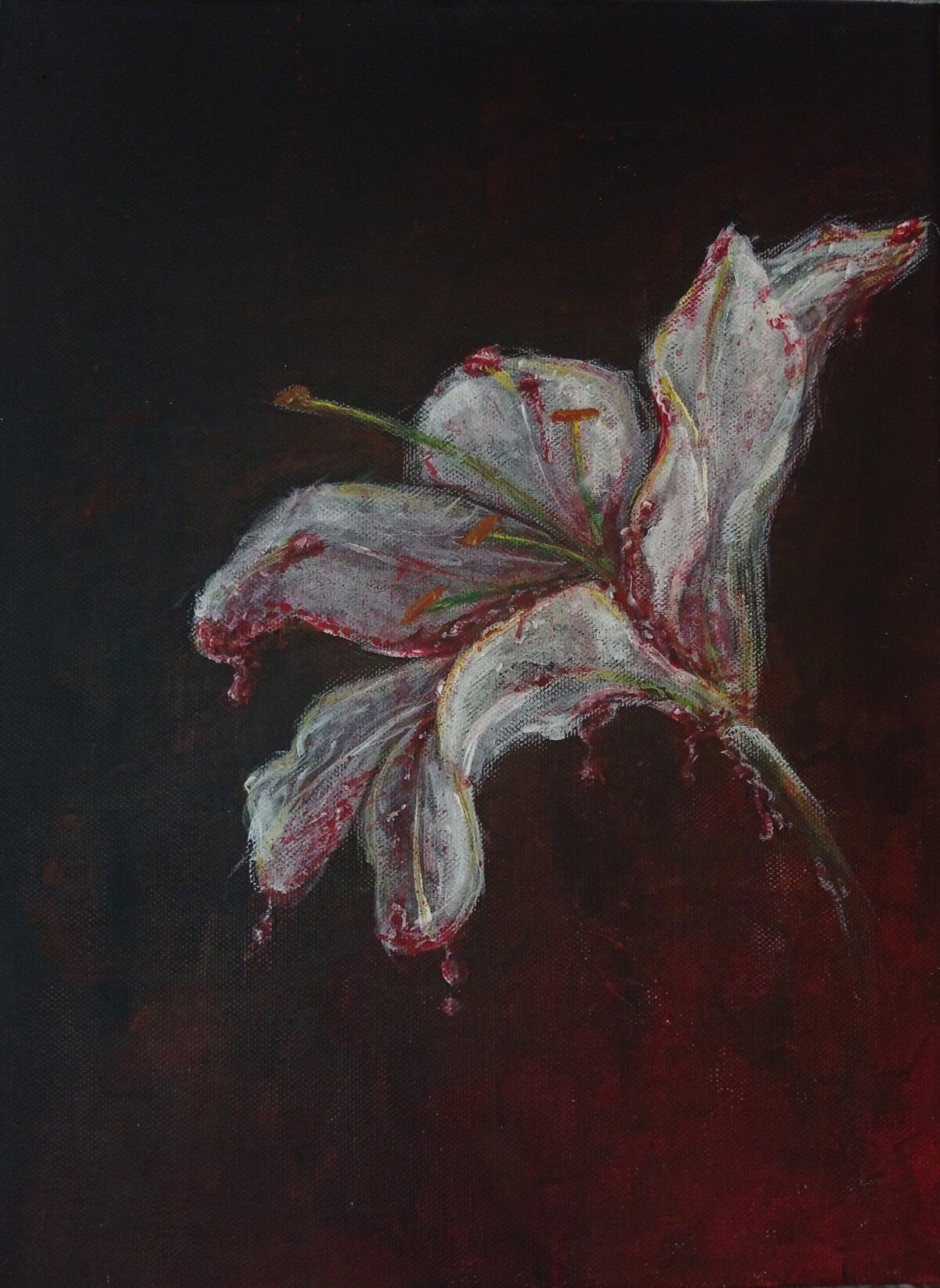 IMG 20241205 165259 Nikola Janakova 1 scaled