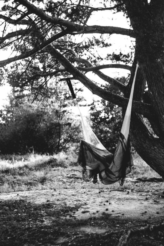 Adobe Express 2025 01 04 10.17.58