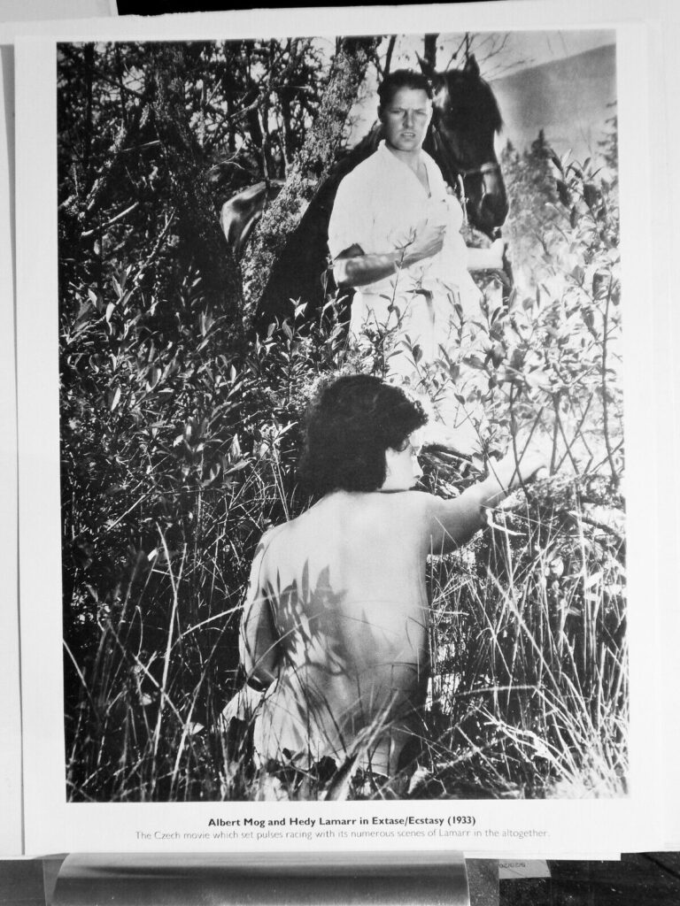 🔥 Top 5 erotických českých klasik, které rozproudí vaši fantazii 3 s l1600 1